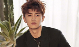 任嘉伦最新电视剧,穿越时空的守护传奇